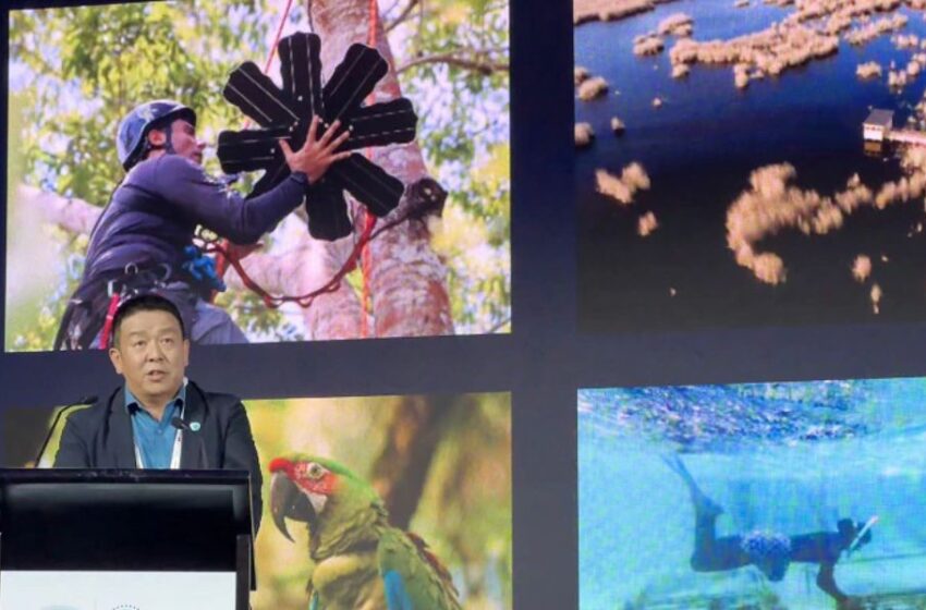  Huawei y la UICN organizan la cumbre Tech4Nature para promover la innovación en la conservación de la naturaleza