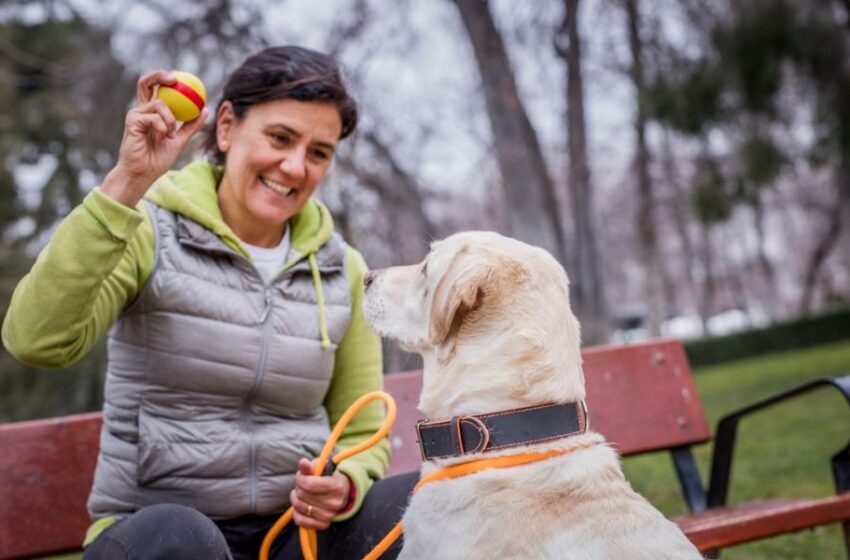  ¿Cómo afecta el frío a los perros y gatos?