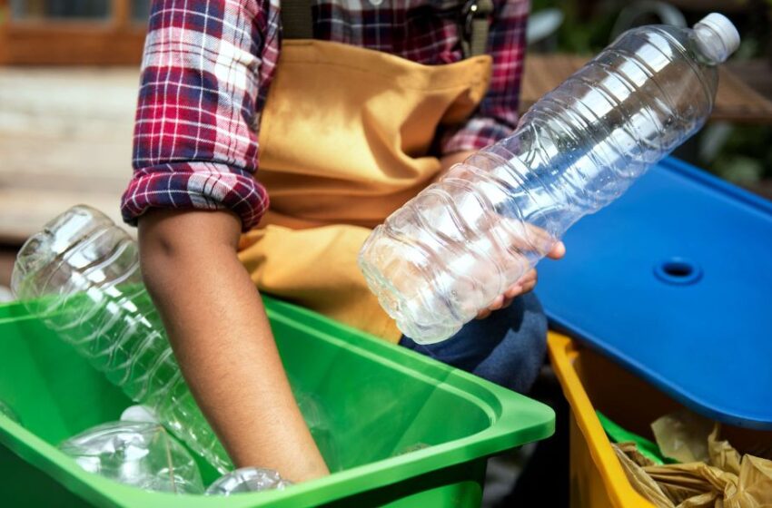  Día Mundial del Medio Ambiente: Nuevas perspectivas y desafíos del reciclaje de plásticos