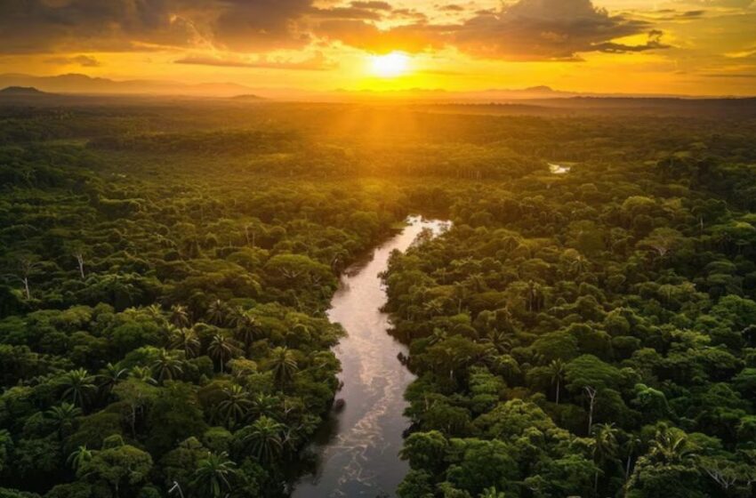  Natura crea una alianza sin precedentes con sus proveedores para acelerar las prácticas regenerativas