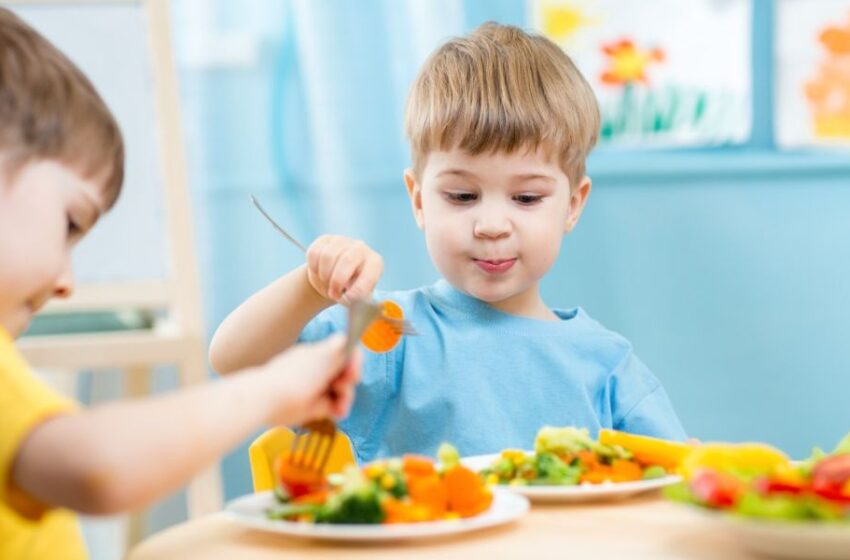  Alimentación saludable para los niños