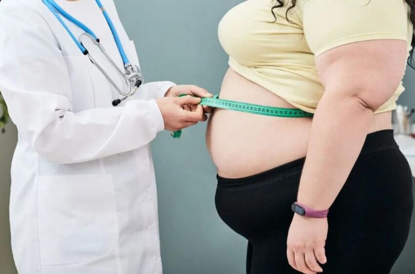  Ubicar a un especialista en el manejo de la obesidad ya es posible con tan solo un click