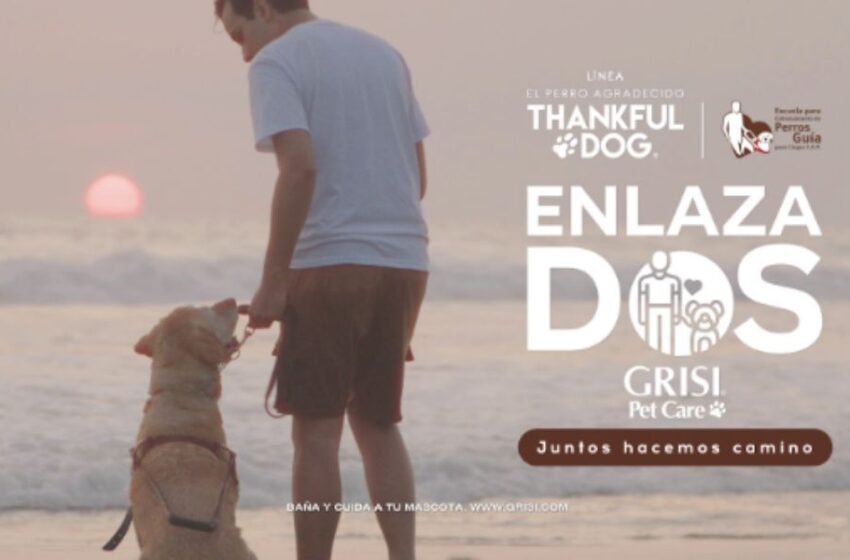  EnlazaDOS de Thankful Dog, la campaña que por tercer año apoya a la Escuela para Entrenamiento de Perros Guía para Ciegos IAP