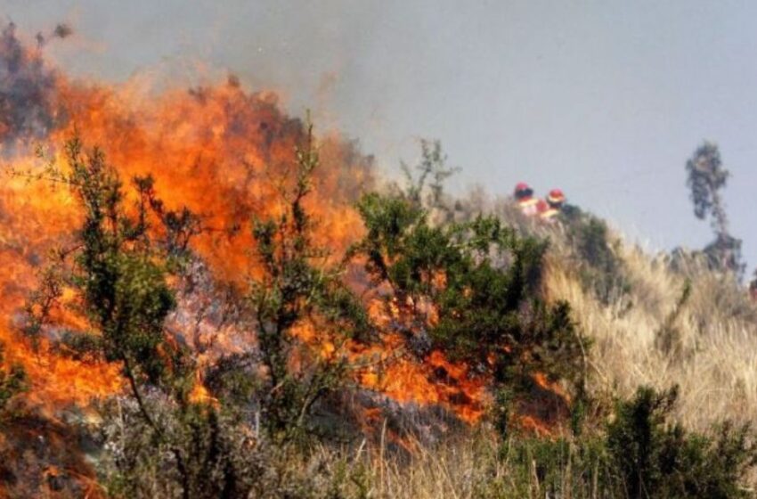  Efectos de los Incendios Forestales en la Salud