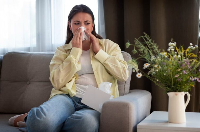  Primavera: ¿Qué tipo de aspiradora elegir si sufres de alergias?