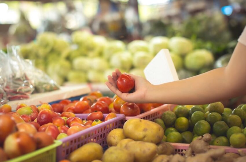  Un tercio de la producción mundial de comida se pierde al año