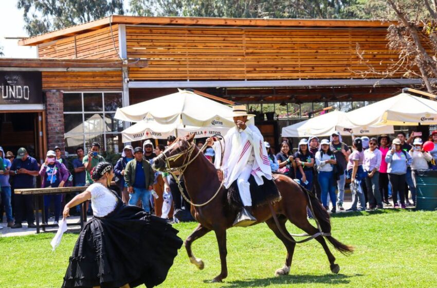  Fundo Restaurante de Ica presenta propuesta gastronómica regional, caballos, juegos y mucho más