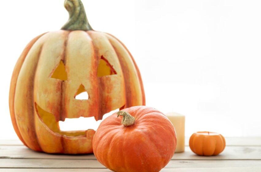  Halloween Saludable: Alternativas nutritivas para disfrutar