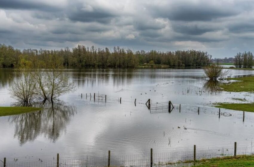  Lluvias intensas: Cómo prepararnos en el hogar durante esta temporada