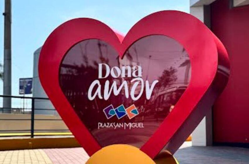  Dona Amor: la iniciativa de Plaza San Miguel que busca apoyar la educación infantil 