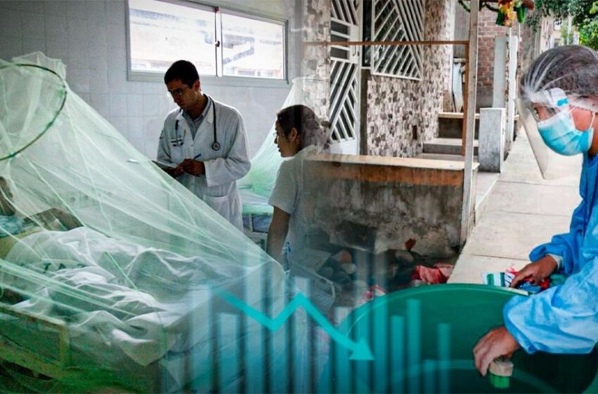  ¡Crisis en Perú! Más de 15,000 casos confirmados de dengue y 19 muertos en lo que va del año